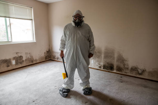 Biohazard Mold Removal in Everson, WA